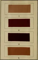 An illustration from Recent progress in the industries of dyeing & calico printing (1895)