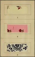 An illustration from Recent progress in the industries of dyeing & calico printing (1895)