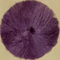 An illustration from Recent progress in the industries of dyeing & calico printing (1895)