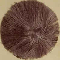 An illustration from Recent progress in the industries of dyeing & calico printing (1895)