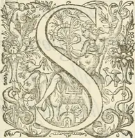 An illustration from Reception de tres-chrestien, tres-iuste, et tres-victorieux monarque Louis XIII. roy de France & de Nauarre ... : et de tres-chrestienne, tres-auguste, & tres-vertueuse royne Anne d'Austriche, par Messieurs les doyen, chanoines, & comtes de Lyon en leur cloistre & eglise, le XI. decembre, M. DC.XXII (1623)