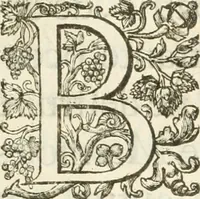 Picture 10 of 27 from Reception de tres-chrestien, tres-iuste, et tres-victorieux monarque Louis XIII. roy de France & de Nauarre ... : et de tres-chrestienne, tres-auguste, & tres-vertueuse royne Anne d'Austriche, par Messieurs les doyen, chanoines, & comtes de Lyon en leur cloistre & eglise, le XI. decembre, M. DC.XXII (1623), leaf 22