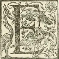 An illustration from Reception de tres-chrestien, tres-iuste, et tres-victorieux monarque Louis XIII. roy de France & de Nauarre ... : et de tres-chrestienne, tres-auguste, & tres-vertueuse royne Anne d'Austriche, par Messieurs les doyen, chanoines, & comtes de Lyon en leur cloistre & eglise, le XI. decembre, M. DC.XXII (1623)