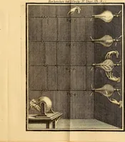 Picture 11 of 22 from Recherches sur les causes particulieres des phénoménes électriques : et sur les effets nuisibles ou avantageux qu'on peut en attendre (1749), leaf 300