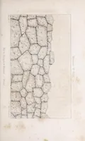 An illustration from Recherches sur les monuments cyclopéens et description de la collection des modèles en relief, composant la galerie pélasgique de la Bibliothèque Mazarine (1841)