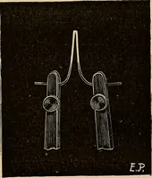 An illustration from Recherches sur l'électricité (1883)