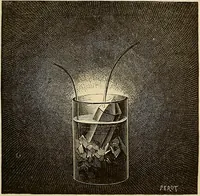 An illustration from Recherches sur l'électricité (1883)