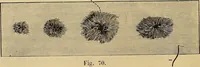 An illustration from Recherches sur l'électricité (1883)