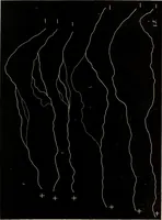 An illustration from Recherches sur l'électricité (1883)