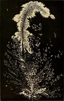An illustration from Recherches sur l'électricité (1883)