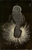 An illustration from Recherches sur l'électricité (1883)