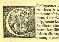 Picture 17 of 20 from Recognitio, summularum reuerendi Patris Illdephonsi a Vera Cruce Augustiniani . (1554), leaf 147
