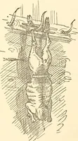 Picture 44 of 69 from Recollections of Auton House (1909), leaf 64