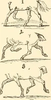An illustration from Recollections of Auton House (1909)