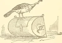 An illustration from Recollections of Auton House (1909)
