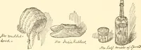Picture 61 of 69 from Recollections of Auton House (1909), leaf 89