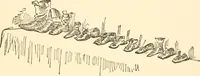 Picture 63 of 69 from Recollections of Auton House (1909), leaf 92