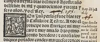 An illustration from Recopilacio[n] de algunas bullas del summo pontifice, co[n]cedidas, en fauor de la jurisdicio[n] real, con todas las pragmaticas, y algunas leyes del reyno, hechas para la buena gouernacion y guarda de la justicia y muchas pragmaticas y leyes añadidas q[ue] hasta aqui no fueron impressas. : En especial estan añadidas las leyes de Madrid y de los ara[n]zeles y de los paños y lanas y capitulos de corregidores y leyes de toro y leyes de la hermandad, vista y corregida y por orden de leyes puesta. (1550)