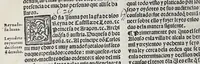 An illustration from Recopilacio[n] de algunas bullas del summo pontifice, co[n]cedidas, en fauor de la jurisdicio[n] real, con todas las pragmaticas, y algunas leyes del reyno, hechas para la buena gouernacion y guarda de la justicia y muchas pragmaticas y leyes añadidas q[ue] hasta aqui no fueron impressas. : En especial estan añadidas las leyes de Madrid y de los ara[n]zeles y de los paños y lanas y capitulos de corregidores y leyes de toro y leyes de la hermandad, vista y corregida y por orden de leyes puesta. (1550)