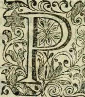 An illustration from Recopilacion de leyes de los reynos de las Indias : mandadas imprimir, y publicar por la magestad catolica del rey don Carlos II, nuestro señor : va dividida en quatro tomos, con el indice general, y al principio de cada tomo el indice especial de los titulos, que contiene (1681)