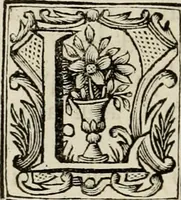 An illustration from Recopilacion de leyes de los reynos de las Indias : mandadas imprimir, y publicar por la magestad catolica del rey don Carlos II, nuestro señor : va dividida en quatro tomos, con el indice general, y al principio de cada tomo el indice especial de los titulos, que contiene (1681)