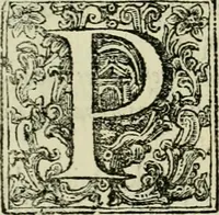 An illustration from Recopilacion de leyes de los reynos de las Indias : mandadas imprimir, y publicar por la magestad catolica del rey don Carlos II, nuestro señor : va dividida en quatro tomos, con el indice general, y al principio de cada tomo el indice especial de los titulos, que contiene (1681)