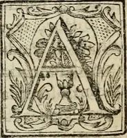 An illustration from Recopilacion de leyes de los reynos de las Indias : mandadas imprimir, y publicar por la magestad catolica del rey don Carlos II, nuestro señor : va dividida en quatro tomos, con el indice general, y al principio de cada tomo el indice especial de los titulos, que contiene (1681)
