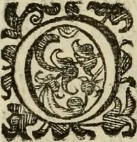 An illustration from Recopilacion de leyes de los reynos de las Indias : mandadas imprimir, y publicar por la magestad catolica del rey don Carlos II, nuestro señor : va dividida en quatro tomos, con el indice general, y al principio de cada tomo el indice especial de los titulos, que contiene (1681)