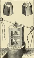 An illustration from Records of the coinage of Scotland : from the earliest period to the union (1876)