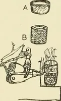 An illustration from Records of the coinage of Scotland : from the earliest period to the union (1876)