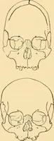 An illustration from Records of the past (1904)