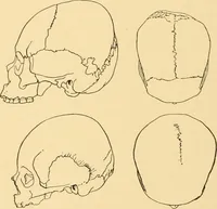 An illustration from Records of the past (1904)