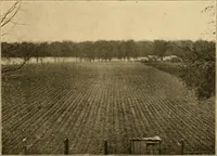 An illustration from Records of the past (1904)