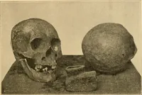 An illustration from Records of the past (1904)