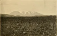 An illustration from Records of the past (1904)