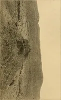 An illustration from Records of the past (1904)