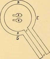 An illustration from Records of the past (1904)