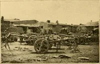 An illustration from Records of the past (1904)