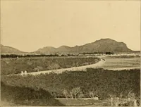 An illustration from Records of the past (1904)