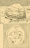 An illustration from Records of the past (1904)