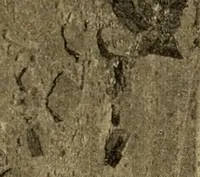 An illustration from Records of the past (1904)
