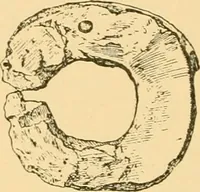 An illustration from Records of the past (1904)
