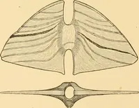 An illustration from Records of the past (1904)