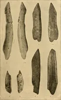 An illustration from Records of the past (1904)