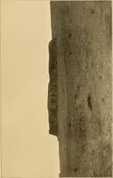 An illustration from Records of the past (1904)