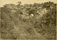 An illustration from Records of the past (1904)