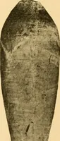 An illustration from Records of the past (1904)