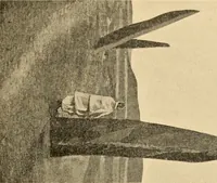 An illustration from Records of the past (1904)