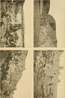 An illustration from Records of the past (1904)