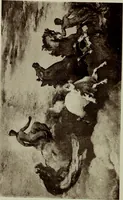 An illustration from Records of William M. Hunt (1881)